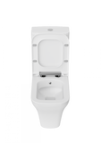 Likya Closed Couple Combined Bidet Toilet With Soft Close Seat